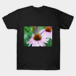 Echinacea Purpurea with Bees T-Shirt